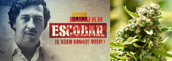 каннабис Абдулино