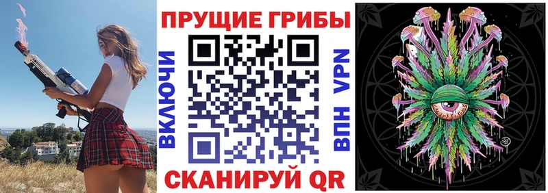 Псилоцибиновые грибы Magic Shrooms  omg ССЫЛКА  сайты даркнета как зайти  Великий Новгород 