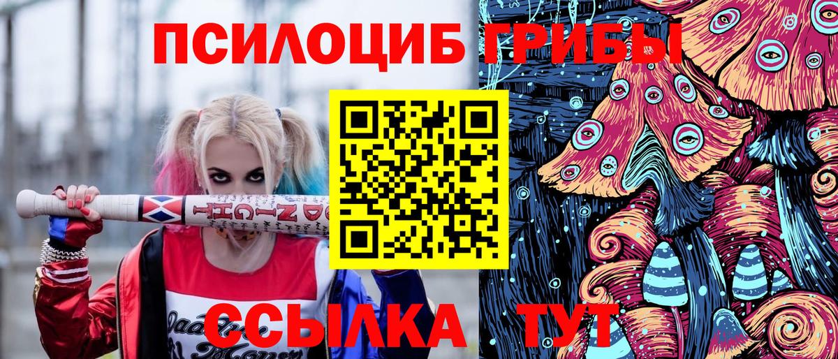 Галлюциногенные грибы ЛСД Великий Новгород