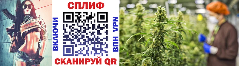 Марихуана White Widow  купить наркоту  Великий Новгород 